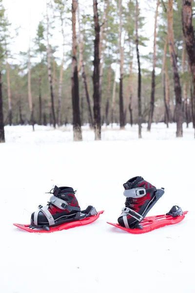 Sapatilha de neve. Sapatos de neve na neve . — Fotografia de Stock