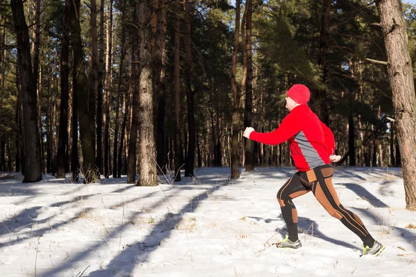 Zimní běh: muž bere běh na zasněžené horské stezce v borovém lese. — Stock fotografie
