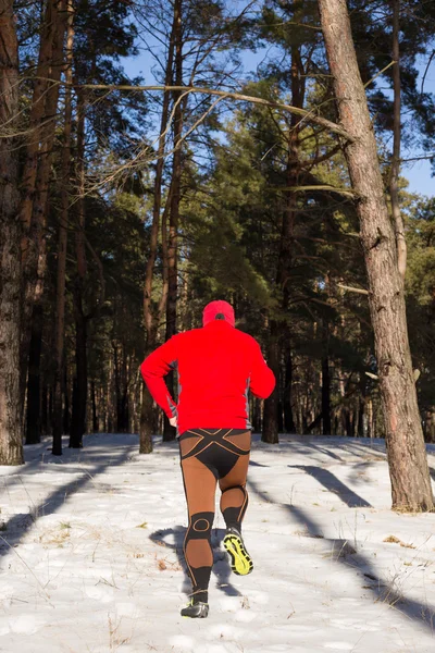 Winter trail uitgevoerd: man neemt een run op een besneeuwde bergpad in een pine woods. — Stockfoto