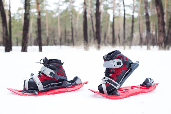 Sneeuwschoenen. sneeuwschoenen in de sneeuw. — Stockfoto