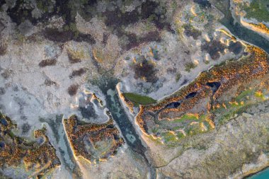 30 metre yükseklikten bataklık gölüne farklı bitkilerle güzel bir manzara.