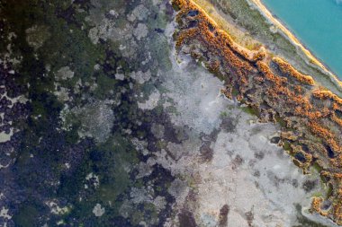 30 metre yükseklikten bataklık gölüne farklı bitkilerle güzel bir manzara.