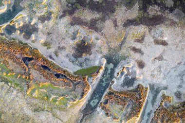 30 metre yükseklikten bataklık gölüne farklı bitkilerle güzel bir manzara.