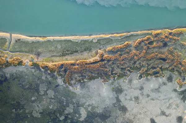 30 metre yükseklikten bataklık gölüne farklı bitkilerle güzel bir manzara.