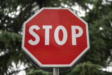 Büyük bir kozalaklı ağacın arka planında dur işareti