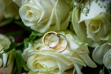 Beyaz bir gül goncasında iki alyans.