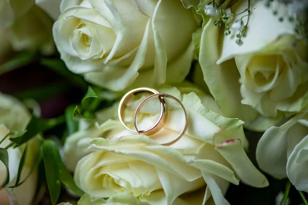 Beyaz bir gül goncasında iki alyans.