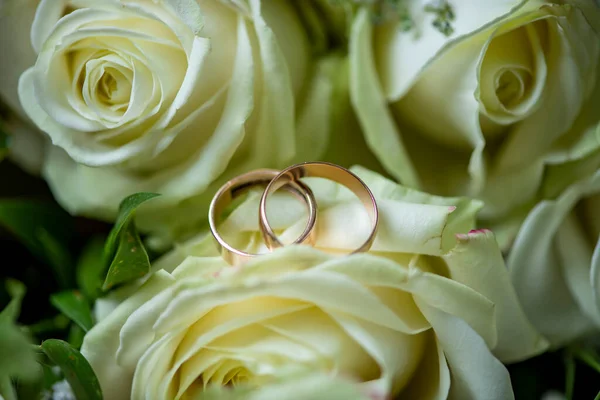 Two Wedding Rings White Rose Bud — Stock Photo, Image