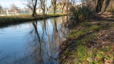Parktaki küçük nehirde ağaç yansımaları var.