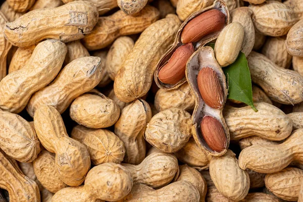 Bir sürü fıstık neredeyse tamamen kapalı ve birkaç açık yeşil yaprak