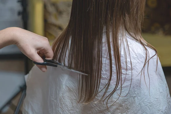 Memotong Rambut Rumah Ibu Memotong Rambut Putri Dapur Stok Lukisan  