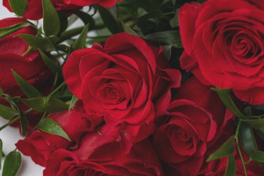 Beyaz bir masada kırmızı güller.