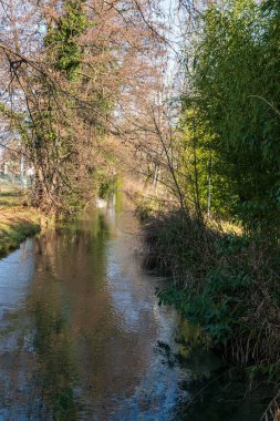 Halka açık bir parkta akan küçük bir nehir.