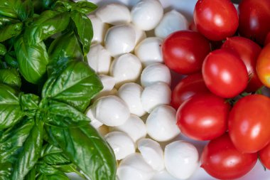 Domates, peynir ve fesleğen İtalyan bayrağı şeklinde bir tabağa serilmişti.