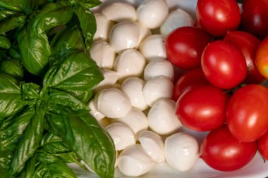 Domates, peynir ve fesleğen İtalyan bayrağı şeklinde bir tabağa serilmişti.