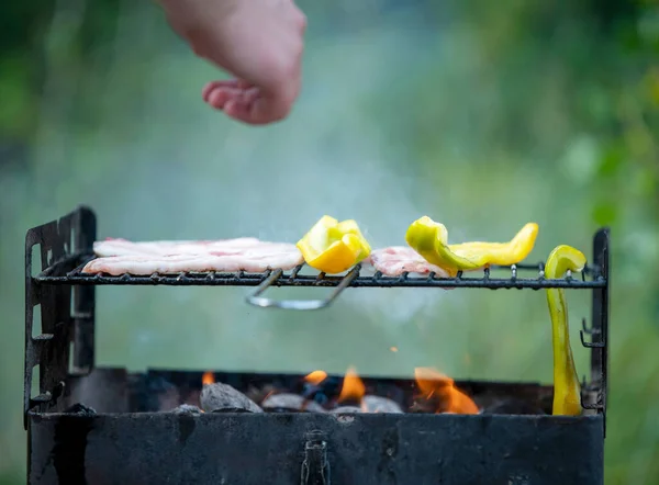 Carne Fríe Una Parrilla Llamas Condiciones Campo — Foto de Stock