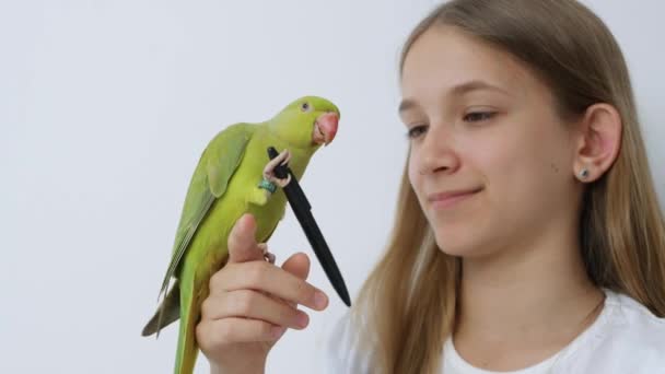 Çocuk Konuşan Papağan, Evcil Hayvan Oynayan Mutlu Çocuk, Evde Kuş Oynayan Kız, Komik Hint Yüzüklü Muhabbet kuşu Kafesi Ailesi — Stok video