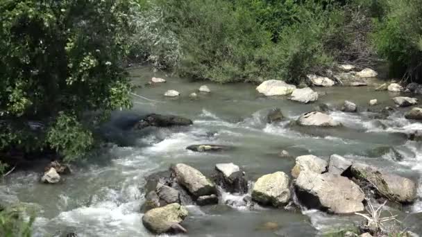 Mountain River Closeup, Spring Brook, Creek with Stones, Rocks, Nature View — Stock Video