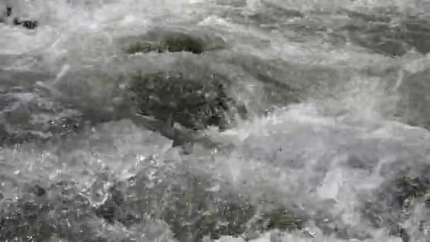 マディ川は、山、雨の日のクリーク、春の小川、石、岩、自然景観、浸水の日の後にカラミティ — ストック動画