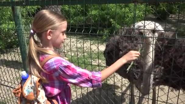Kind in Zoo Park, Kind voedende struisvogel, Meisje liefde Verpleegkundige Dieren Spelen met vogels, Kinderen — Stockvideo