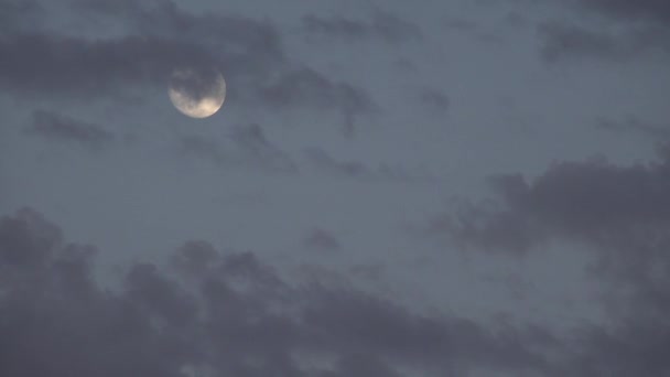 Pleine Lune Se lève Dans Les Nuages Sur Le Ciel Crepusculaire, Vue De La Lumière Du Crépuscule, Astrologie Du Soir, Timelapse — Video