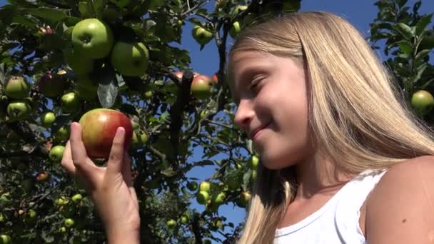 Dziewczyna je jabłko, Kid w sadzie, Kid degustacja owoców w drzewie, Farmer Blondynka dziecko w wiosce na wsi — Wideo stockowe