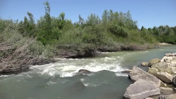 Río Muddy Después Día Tormenta Las Montañas Arroyo Día Lluvia — Vídeo de stock