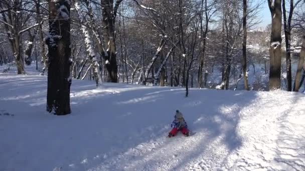 Enfant luge dans le parc, Enfant jouant dans la neige, Petite fille jouissant de l'hiver en plein air dans la nature — Video