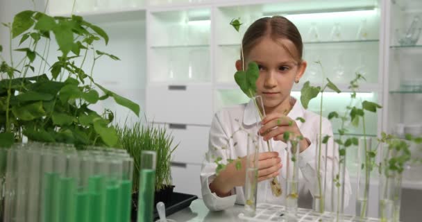Kind im Chemielabor, Schulkind in der Naturwissenschaft beim Pflanzen von Sämlingspflanzen, Schülerin im Pflanzenbiologieunterricht — Stockvideo