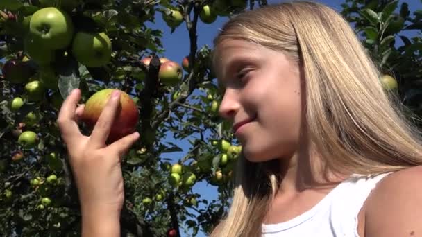 Kind isst Apfel, Kind im Obstgarten, Kind probiert Früchte im Baum, Bauernmädchen auf dem Land — Stockvideo