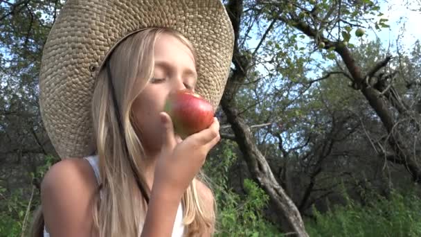 Dziewczyna je jabłko, Kid w sadzie, Kid degustacja owoców w drzewie, Farmer Blondynka dziecko w wiosce na wsi — Wideo stockowe