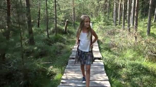 Enfant Marchant Dans Forêt Enfant Randonnant Camping Dans Les Sentiers — Video