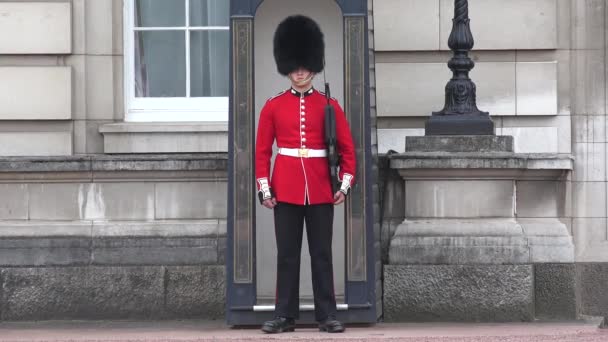Londres Buckingham Palace, Armado Inglês Guarda Marchando e Guardando, Lugares famosos, Edifícios Marcos na Europa — Vídeo de Stock