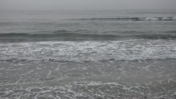 Fog Beach Sea Waves Misty Foggy Cloudy Rainy Day Seashore — Stock videók