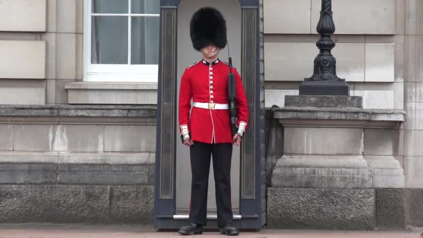 Londra Buckingham Palace, Guardia Armata Inglese Marciante e Custode, Luoghi Famosi, Edifici Luoghi di interesse in Europa — Video Stock