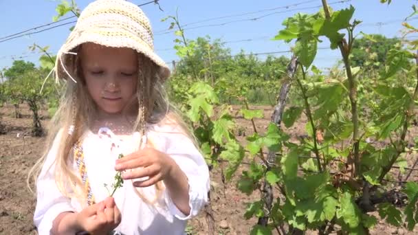 Kid Walking in Agriculture Field, Child Playing in Vineyard at Countryside, Rustic Girl Plays in Prairie Rural Children in Nature — Video