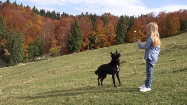 Kid Feeding Dog on Meadow, Child Playing with a Puppy Pet, Domestic Animal Eating, Little Girl in Alpine Rustic View in Fall — Αρχείο Βίντεο