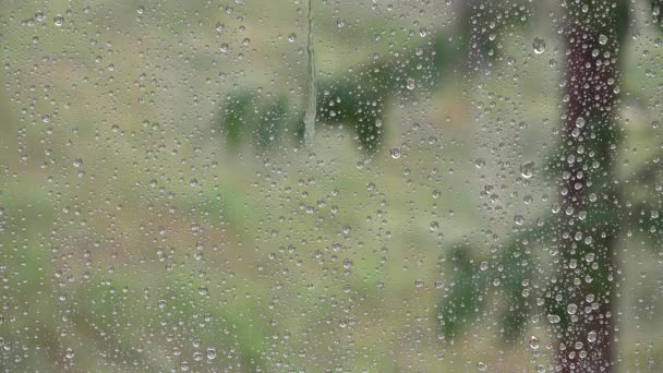 Sommer sintflutartiger Regen, Regen, Regentropfen auf Fenster, Hagelkörner stürmisch, Regentag, Hagel, Eissturm auf Glas, Trauriges Wetter — Stockvideo