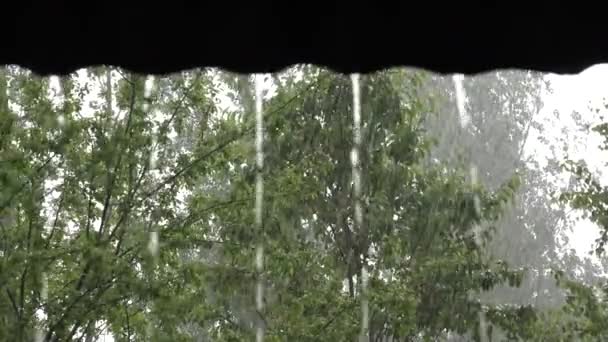 Sintflutartiger Regen, Regen, Überschwemmungen, Überschwemmungen, Sturm, Regentag auf dem Hausdach, Stürmisch in der Natur, bewölkt schlechtes Wetter — Stockvideo
