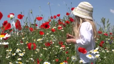 Poppy Flowers 'da Çocuk Oynuyor, Tarım Alanında Çocuk Yürüyor, Kırsalda Kız, Dışarıda Çocuklar, Kırsal Doğa