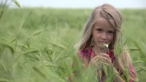 Kind spelen in tarwe, Kid in Agriculture Field, Little Blonde Girl in Prairie op het platteland, Kinderen Buiten in de natuur — Stockvideo