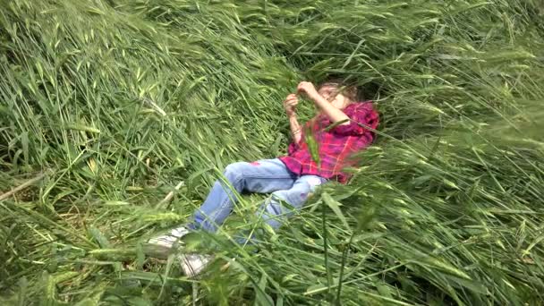 Kid playing in Tarwe, Kind in de landbouw veld, Little Blonde Girl in Prairie op het platteland, Kinderen Outdoor in rustieke natuur — Stockvideo