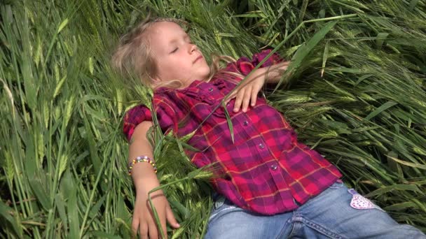 Gyermek játszik búza, gyerek alszik mezőgazdasági területen, lány prérin vidéken, gyerekek szabadban rusztikus természet — Stock videók