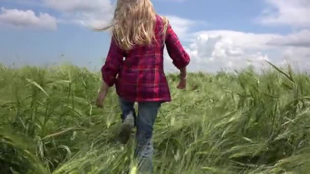 Девочка ходит в пшенице, ребенок играет в сельском хозяйстве, ребенок в прериях в сельской местности, дети на открытом воздухе в природе — стоковое видео
