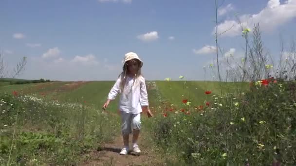 Παιδί που περπατά σε παπαρούνα λουλούδια, παιδί που παίζει στον τομέα της γεωργίας, κορίτσι στο λιβάδι στην ύπαιθρο, τα παιδιά, Rustic Φύση — Αρχείο Βίντεο
