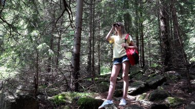 Dağ Ormanlarında Dürbün Kullanan Kız, Kamp yapan Çocuk Yürüyüşü, Alp Dağları İzleri, Macera Yolculuğunda Çocuk Seyahati