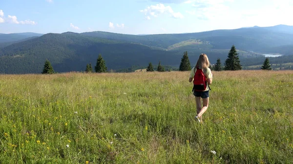 Kinderwandelen Bergen Trails Kid Walking Kamperen Alpen Tiener Meisjeswandelaar Reizen — Stockfoto