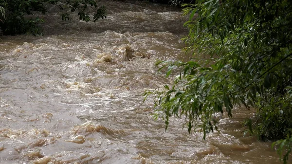 River in Mountains, Muddy Stream after Stormy Raining, Inundation, Flooding Creek in Torrential Rain, Calamity, Natural Disaster