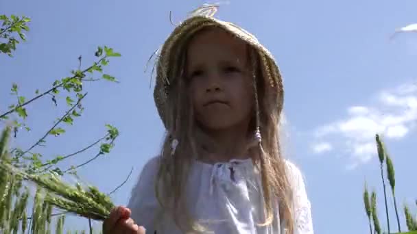 Kind Wandelen in de Tarwe, Kid Spelen in de landbouw veld, Meisje in Prairie op het platteland, Kinderen Buiten in de natuur — Stockvideo