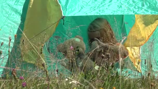 女の子は山の中でキャンプでテントで遊ぶ,子供たちは別れを振って,アルパイン旅行での観光の子供,遠足,子供たち屋外 — ストック動画